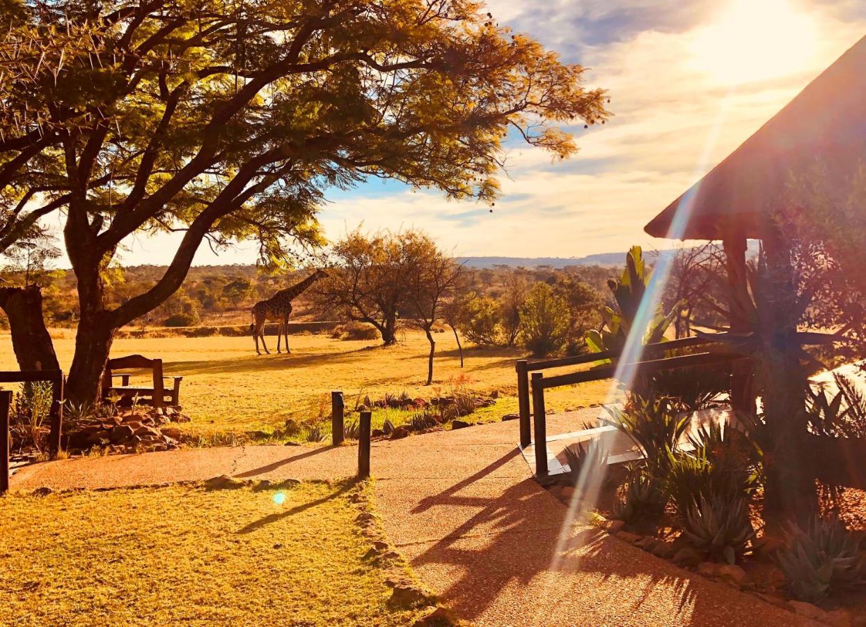 Kololo Game Reserve Vaalwater Exterior foto